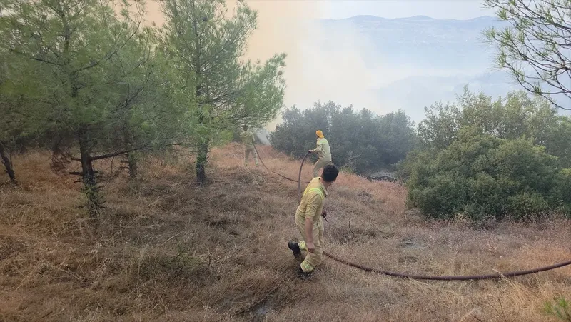 Manisa’da orman yangını: Ekipler seferber oldu