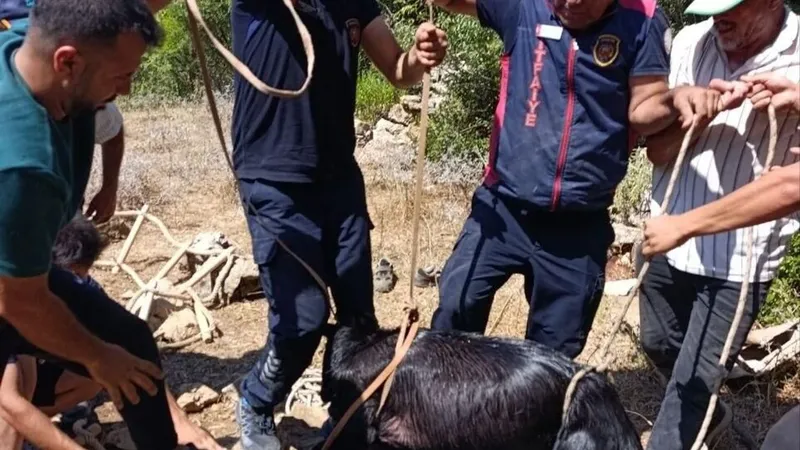 Hatay'da su kuyusuna düşen keçi itfaiye tarafından kurtarıldı