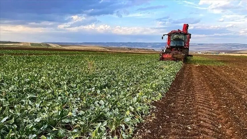 Çiftçilere 110,5 milyon lira müjdesi! Bugün hesaplara yatacak
