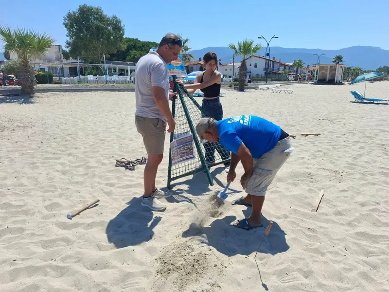 Kuşadası'nda 60 caretta yavrusu denize ulaştı