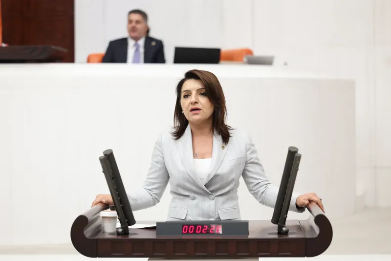 CHP’li Gülcan Kış’tan okul masrafı hesabı: Bir çocuğun kırtasiyesi 7 bin lira