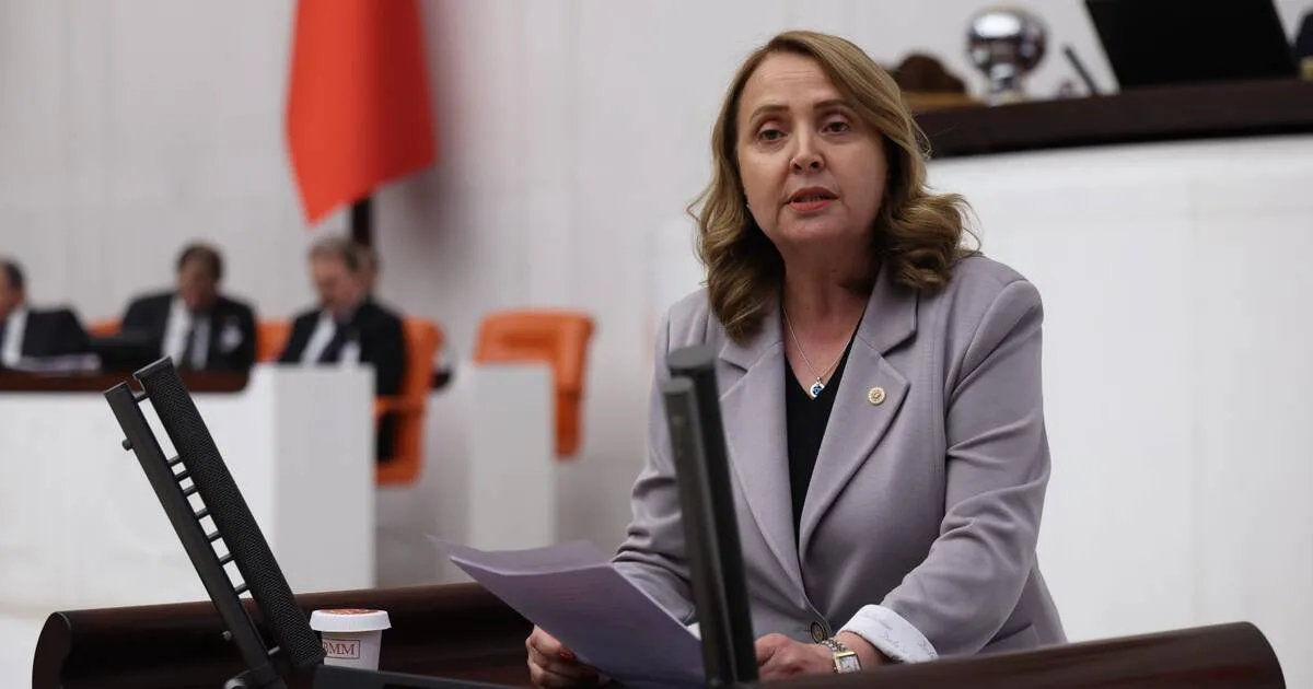 CHP’li Dinçer’den zam tepkisi: Akaryakıt 100 TL’ye dayanıyor